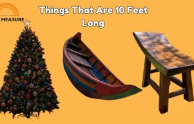 How Long Is 10 Feet