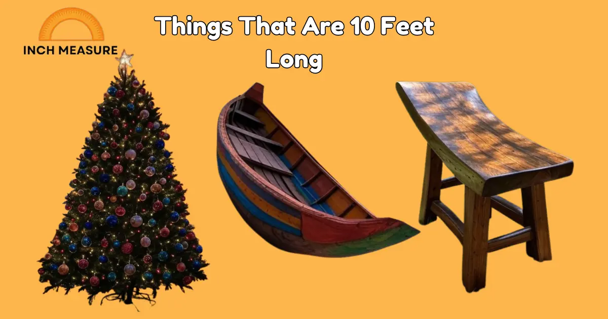 How Long Is 10 Feet