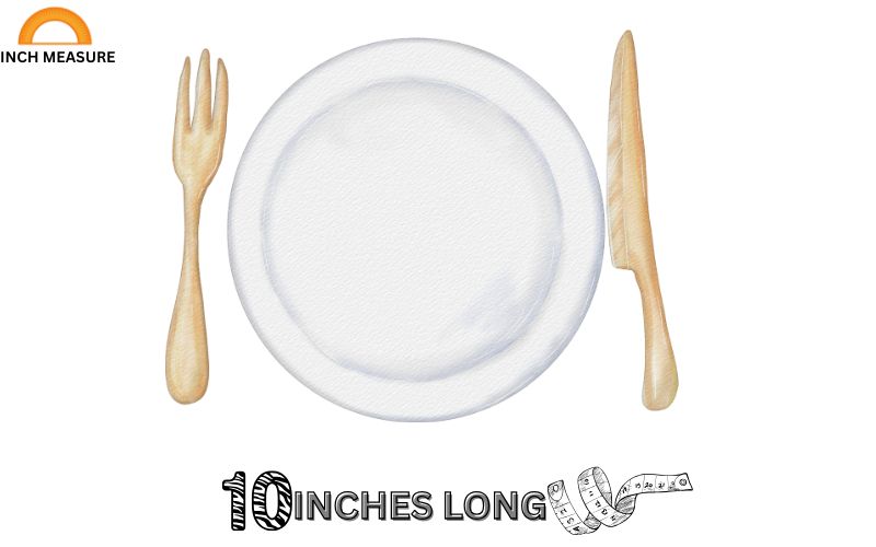 A standard dinner plate in many households measures about 10 inches in diameter. 