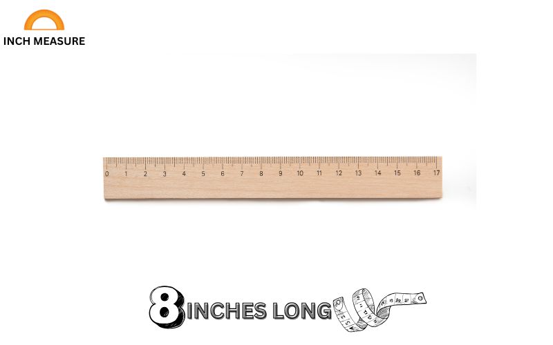 A standard 12-inch ruler is a familiar tool, and 8 inches is two-thirds of its length. 