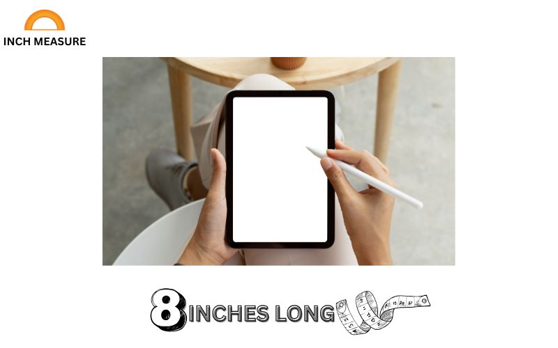 A tablet stylus, like the Apple Pencil or Samsung S Pen, is often around 8 inches long. 