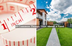 14 Common Things That About a Yard