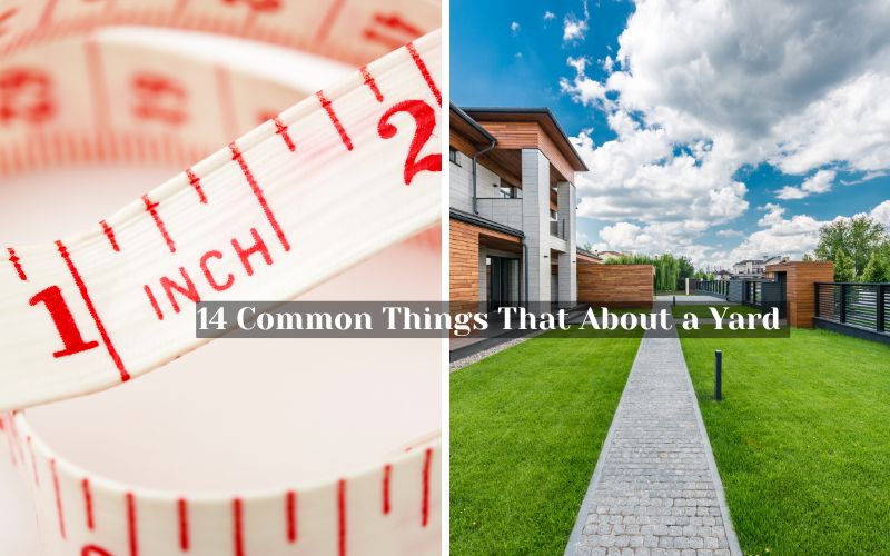 14 Common Things That About a Yard