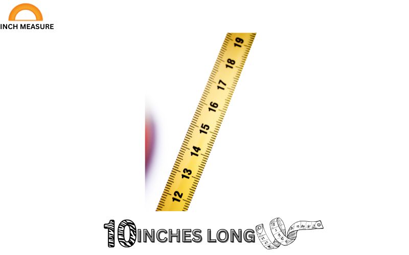 While a standard ruler is 12 inches, some specialty rulers or folding rulers measure about 10 inches