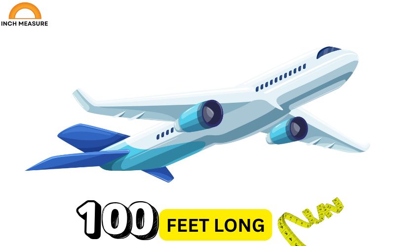 A large passenger jet, such as a Boeing 737 or Airbus A320, is approximately 100 feet long.