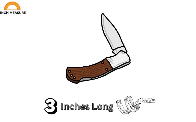 A small pocket knife, when closed, is often around 3 inches long.