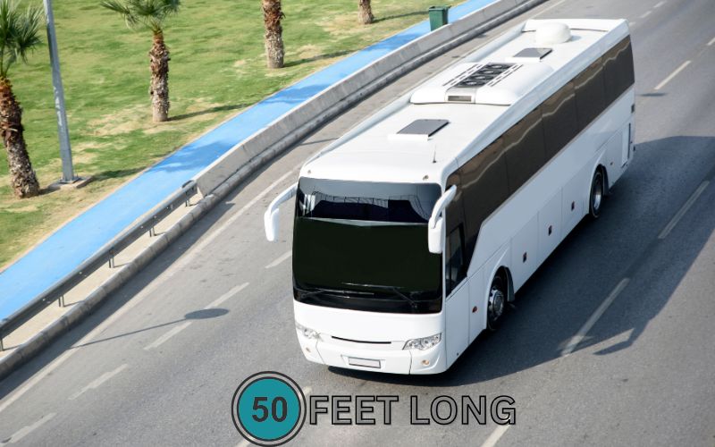 City buses, rumbling through urban streets, are another 50-foot touchstone. Many standard city buses measure around 40 to 50 feet, depending on the model and city. 