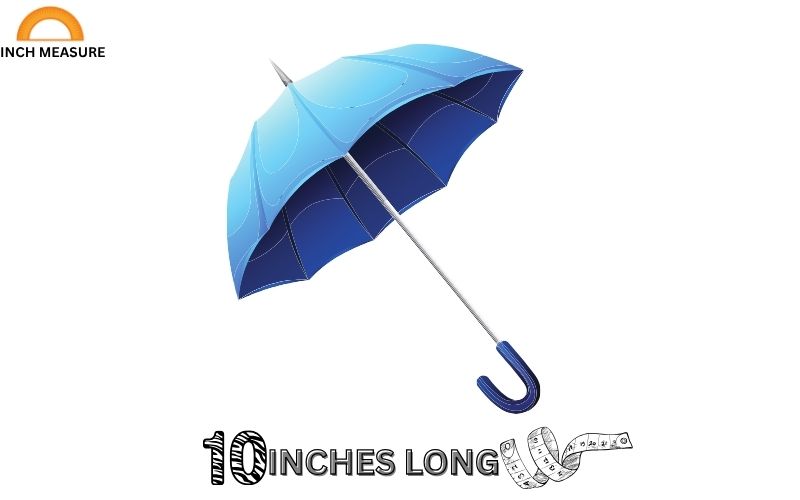 A small, collapsible umbrella often measures about 10 inches when folded.