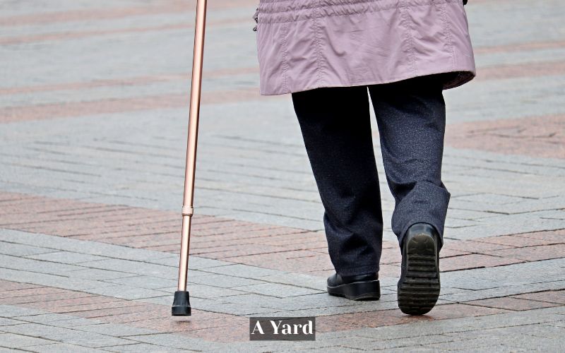A Walking Cane is about a Yard in Inch measurement