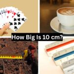 How Big Is 10 cm?