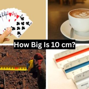 How Big Is 10 cm?