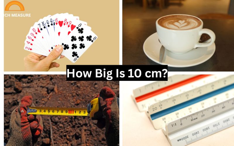 How Big Is 10 cm?