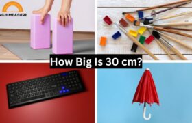How Big Is 30 cm?