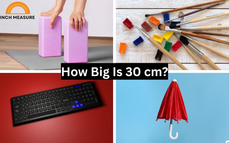 How Big Is 30 cm?