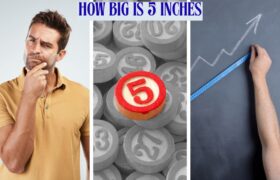 How Big Is 5 Inches