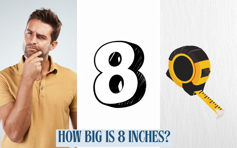 How Big Is 8 Inches