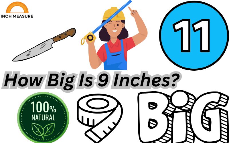How Big Is 9 Inches?