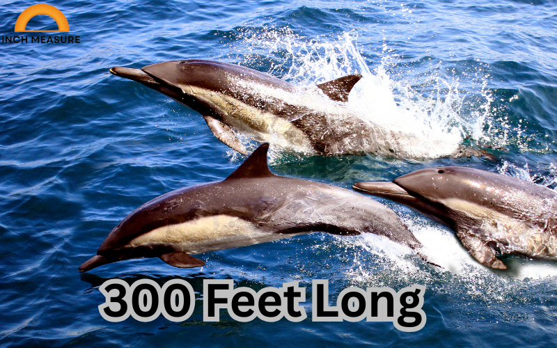 How Far Is 300 Feet?
