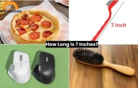 How Long Is 7 Inches?