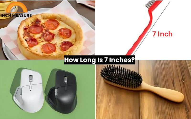 How Long Is 7 Inches?
