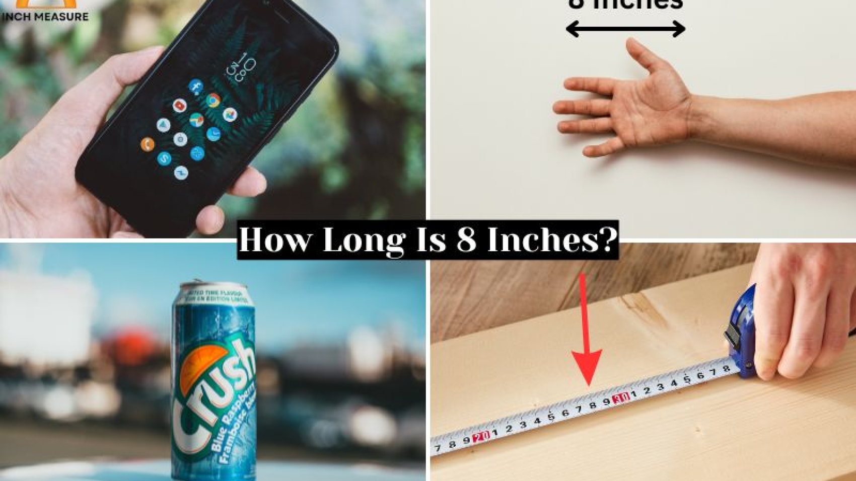 How Long Is 8 Inches?