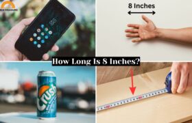How Long Is 8 Inches?