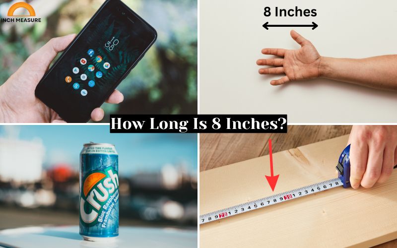 How Long Is 8 Inches?
