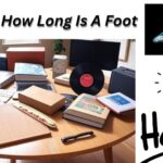 How Long Is A Foot