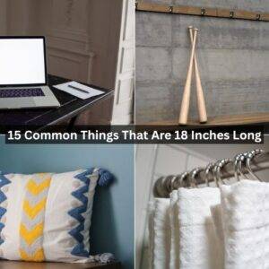 How Long is 18 Inches