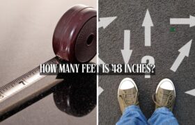 How Many Feet is 48 Inches?