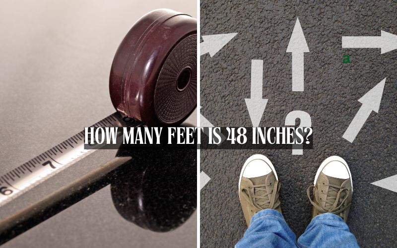 How Many Feet is 48 Inches?