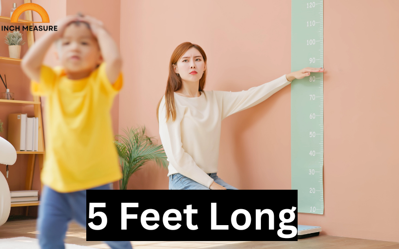 How Many Inches In 5 Feet?