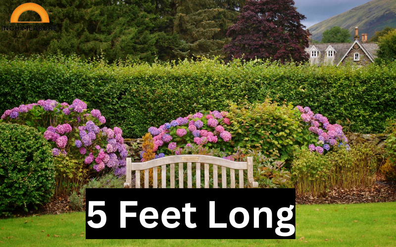 How Many Inches In 5 Feet?
