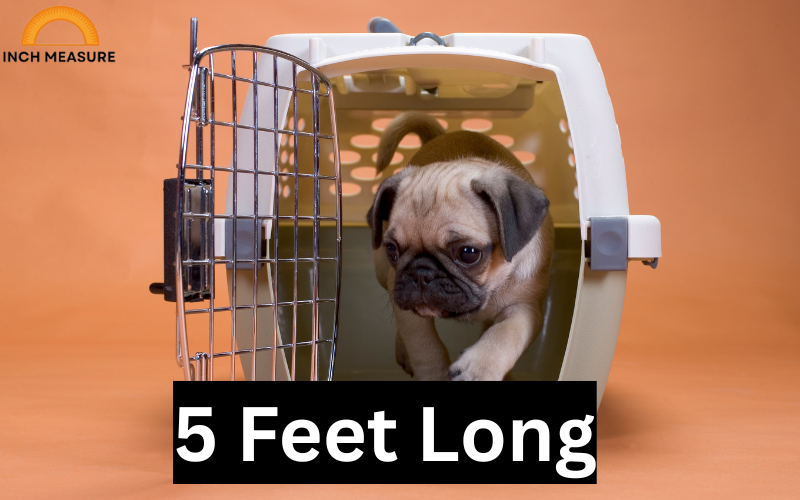 How Many Inches In 5 Feet?