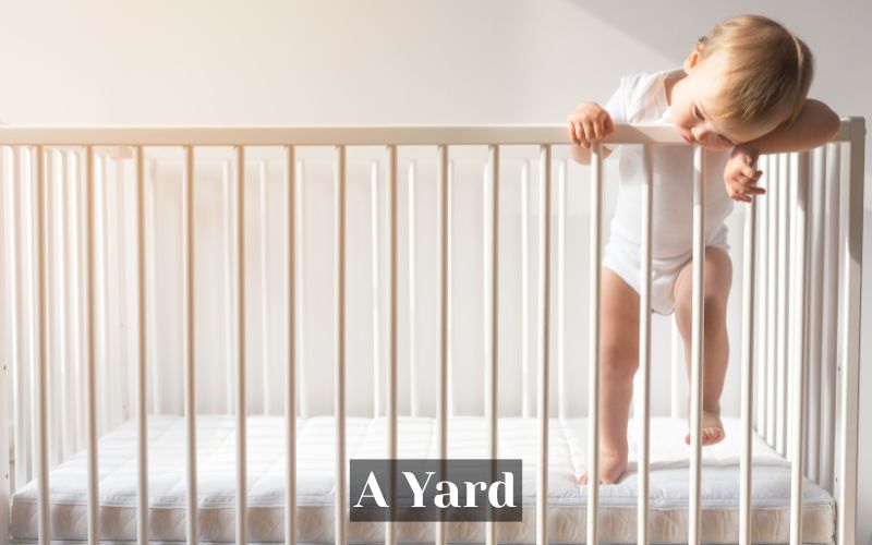 The Height of a Standard Baby Crib is a Yard in Length