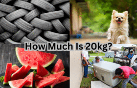 How Much Is 20kg?