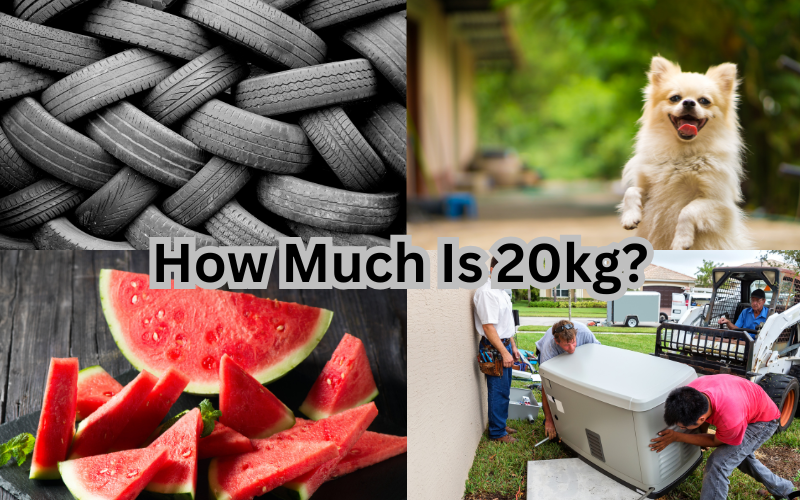 How Much Is 20kg?