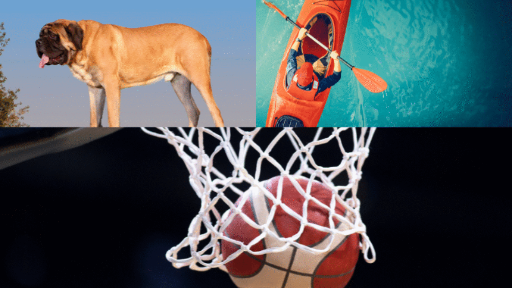 How Tall Is 71 Inches?