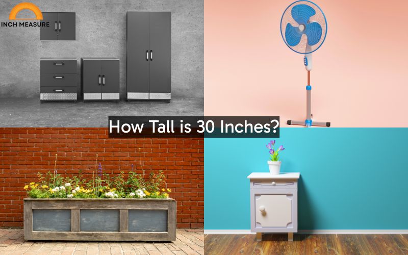 How Tall is 30 Inches?