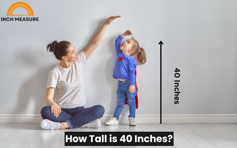 How Tall is 40 Inches