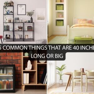 How Tall is 40 Inches?