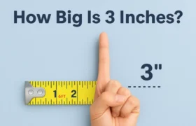 how big is 3 inches