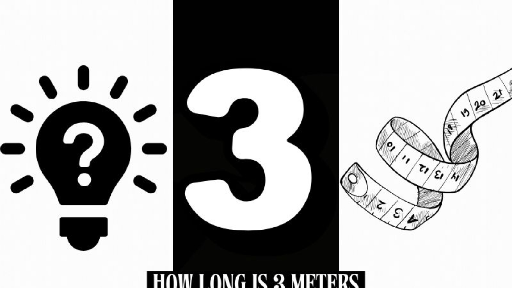 how long is 3 meters