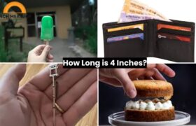 how long is 4 inches