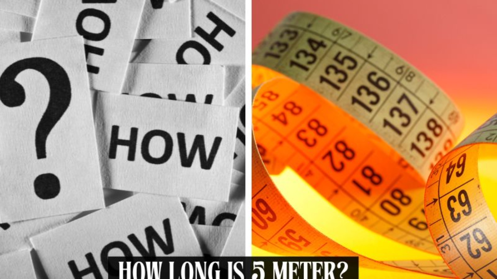 how long is 5 meters