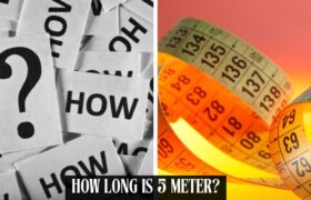 how long is 5 meters