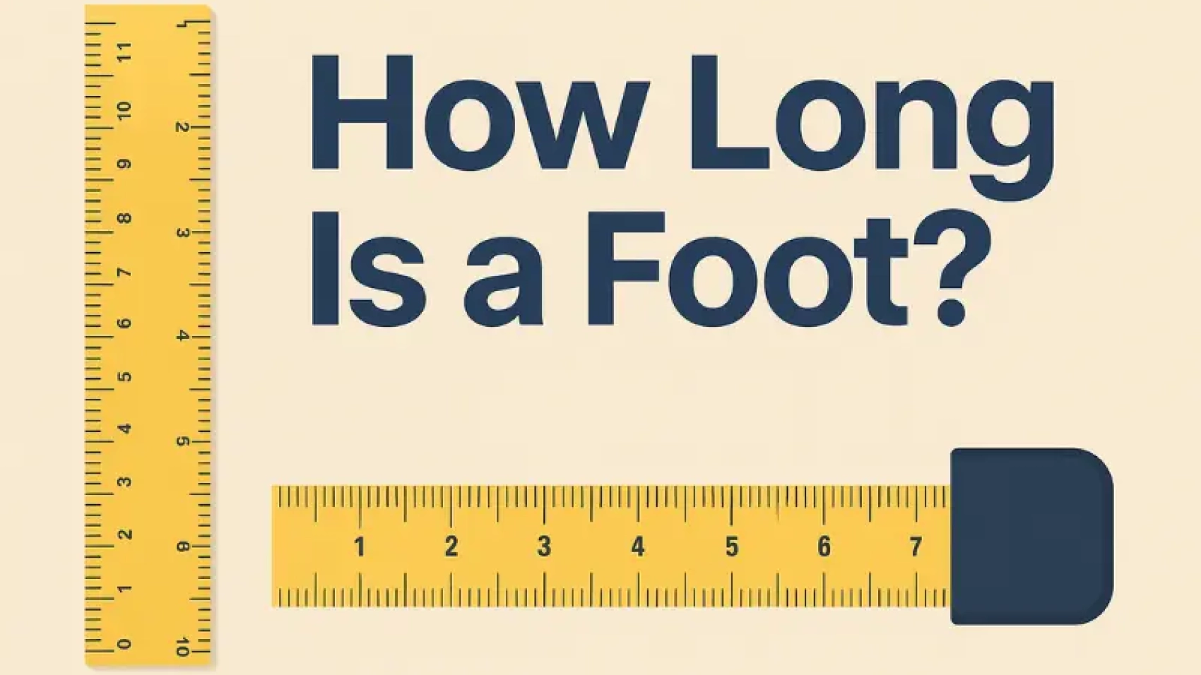 how long is a foot