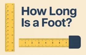 how long is a foot
