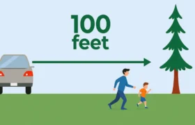 how tall is 100 feet