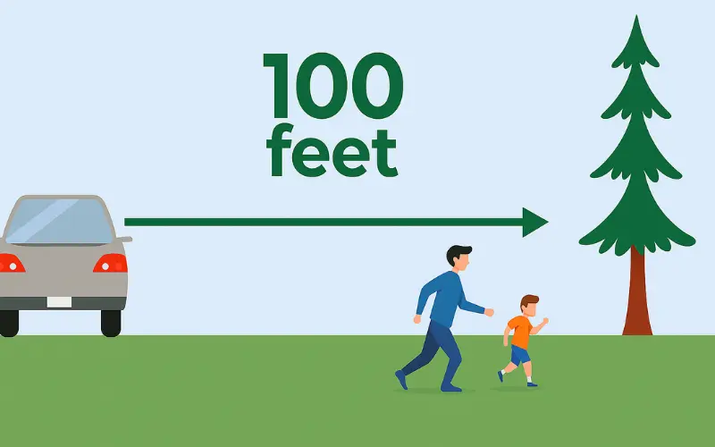 how tall is 100 feet